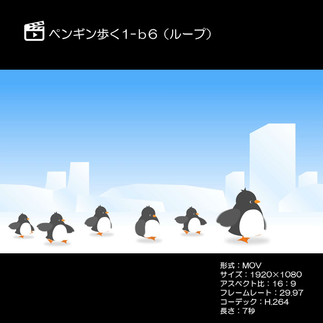 ペンギン歩く1 B6 ループ 著作権フリーcg映像素材 動画素材
